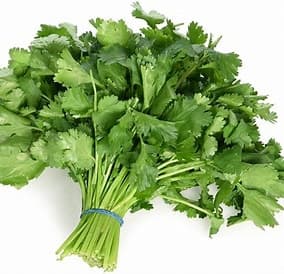 Dhaniya Farming Tips: कम लागत मुनाफा ज्यादा वाली खेती कर रहे सागर के किसान, सरकार भी दे रही 14,000 अनुदान